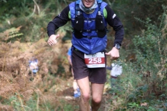 Trail-31-km-195