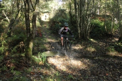 Trail-45km-111