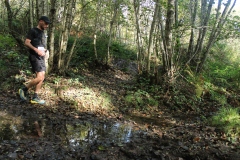 Trail-45km-161