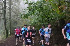 45-km-81